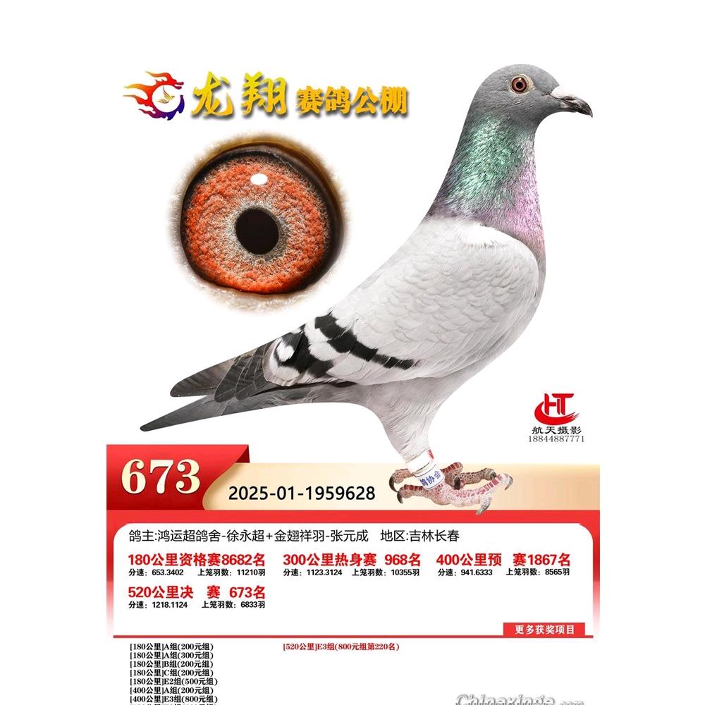 金翅祥羽-张元成