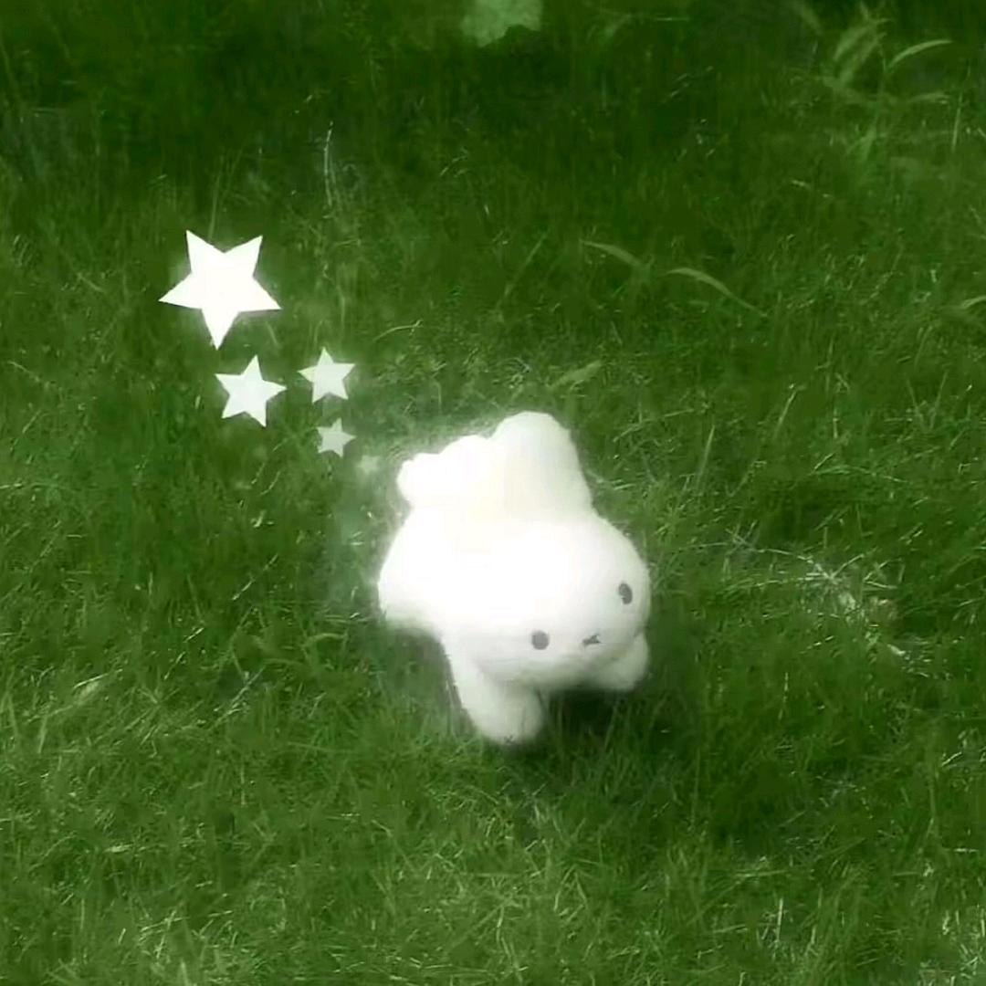 加多鱼