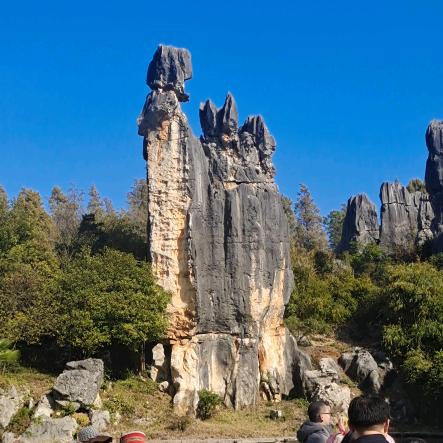 现实不过一樽酒