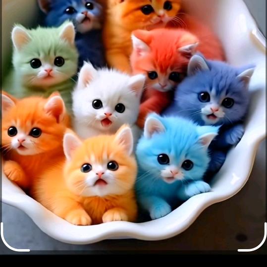 ℳঞ🍒燕꧔ꦿ້໌ᮨ࿐