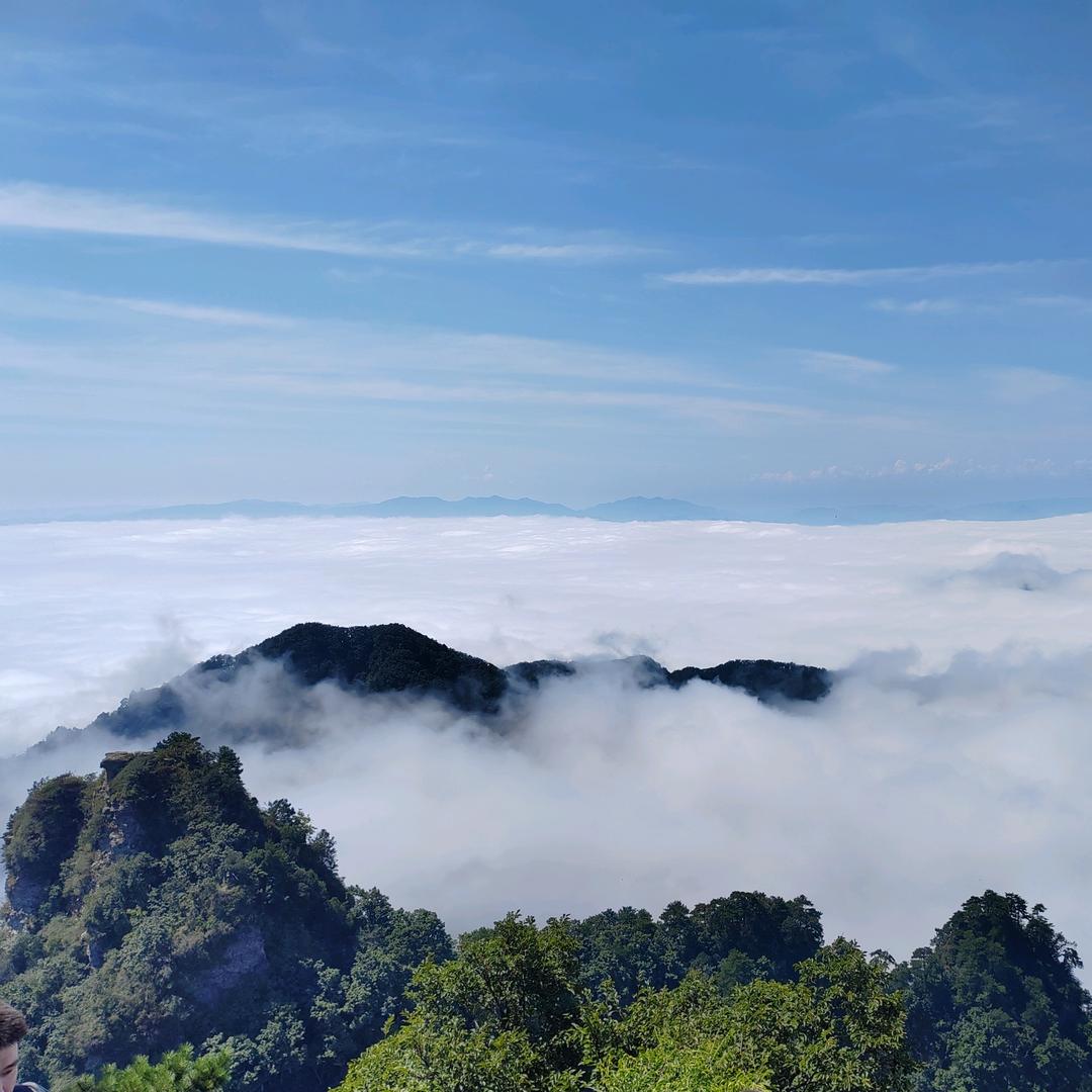 龙