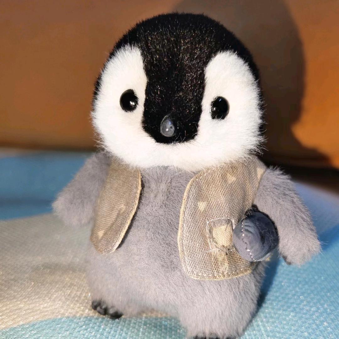 小企🐧XCB