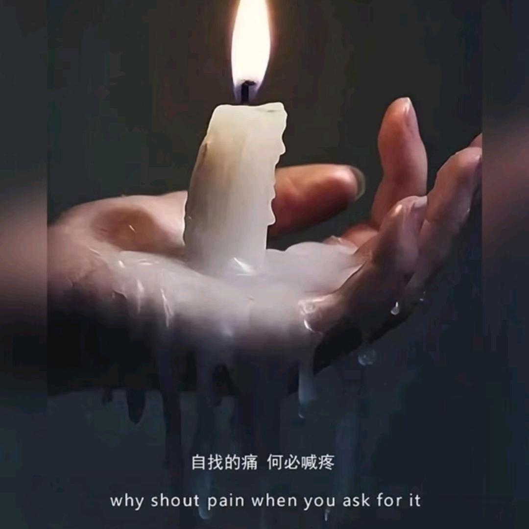 掌心✋之泪