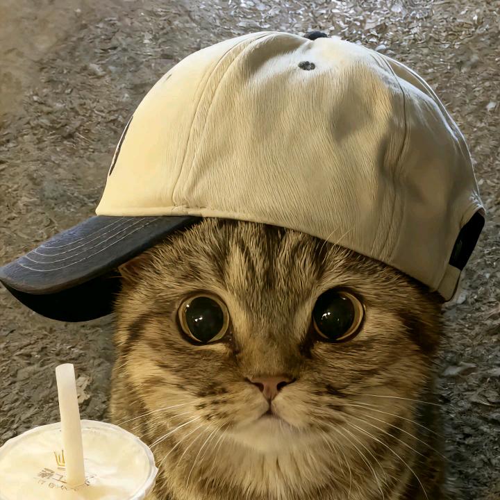 健喂削十片