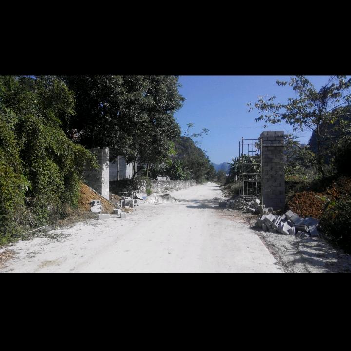 缘分桥上…………