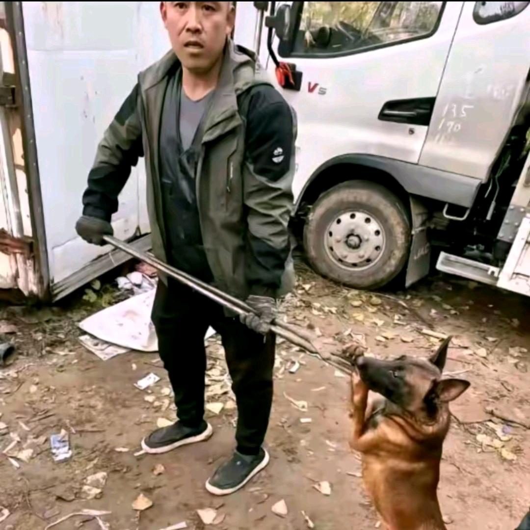 三哥专业套狗