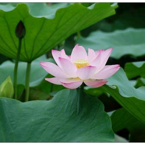 徐州小初高备考提升规划