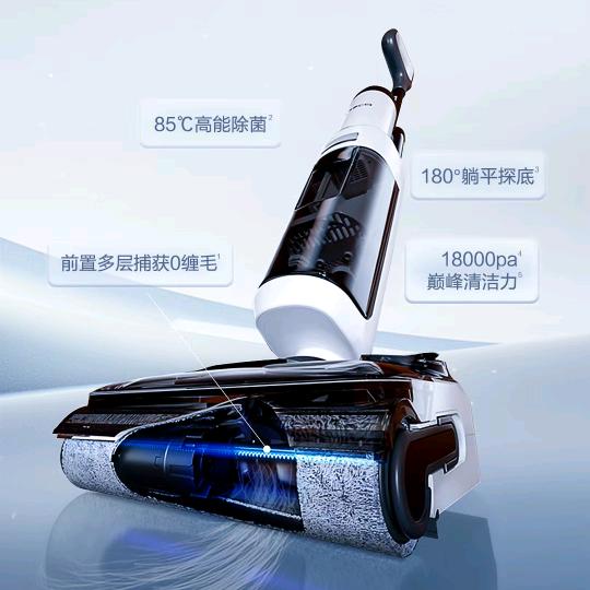 西楚霸王（添可 科沃斯 格兰仕）