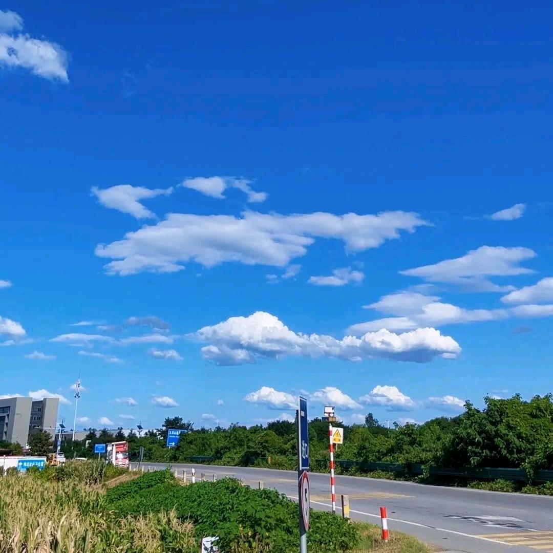 80后新农人（斌仔）