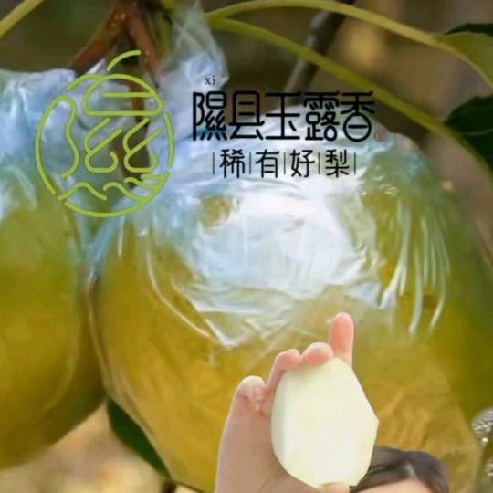 好心情