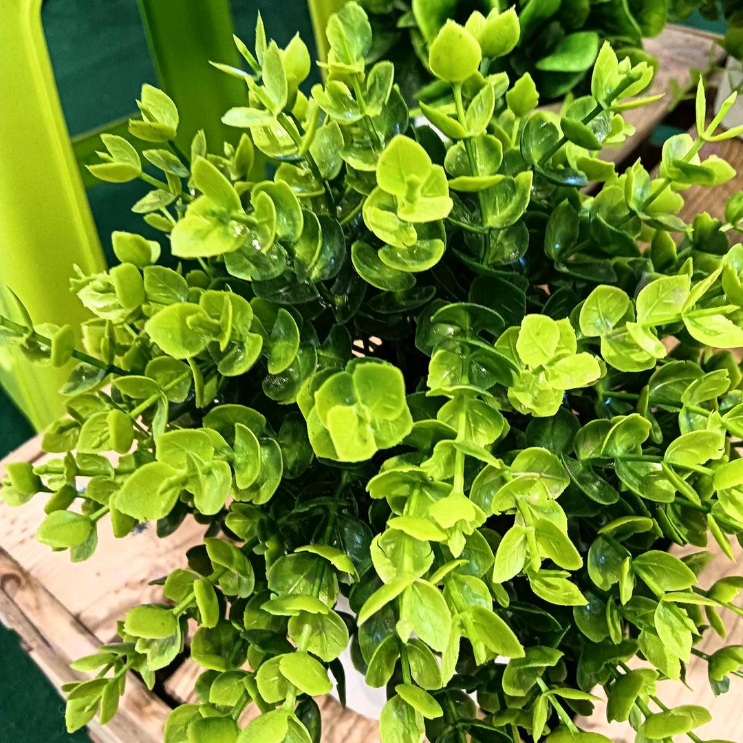 🌹開心快樂🌹