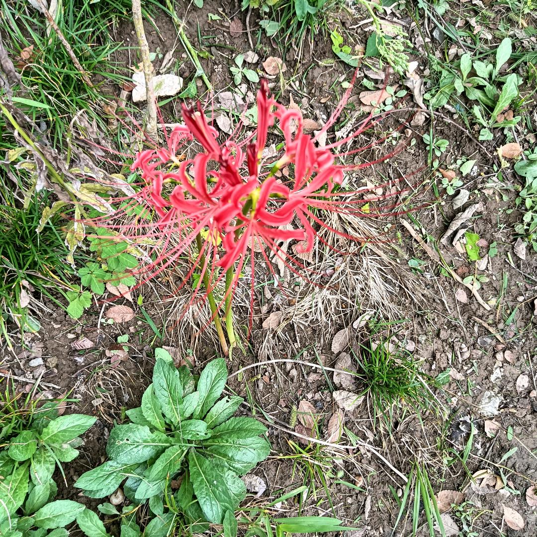 幸福来临