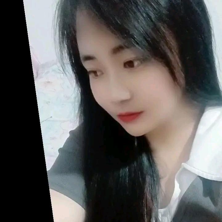 单身飞飞