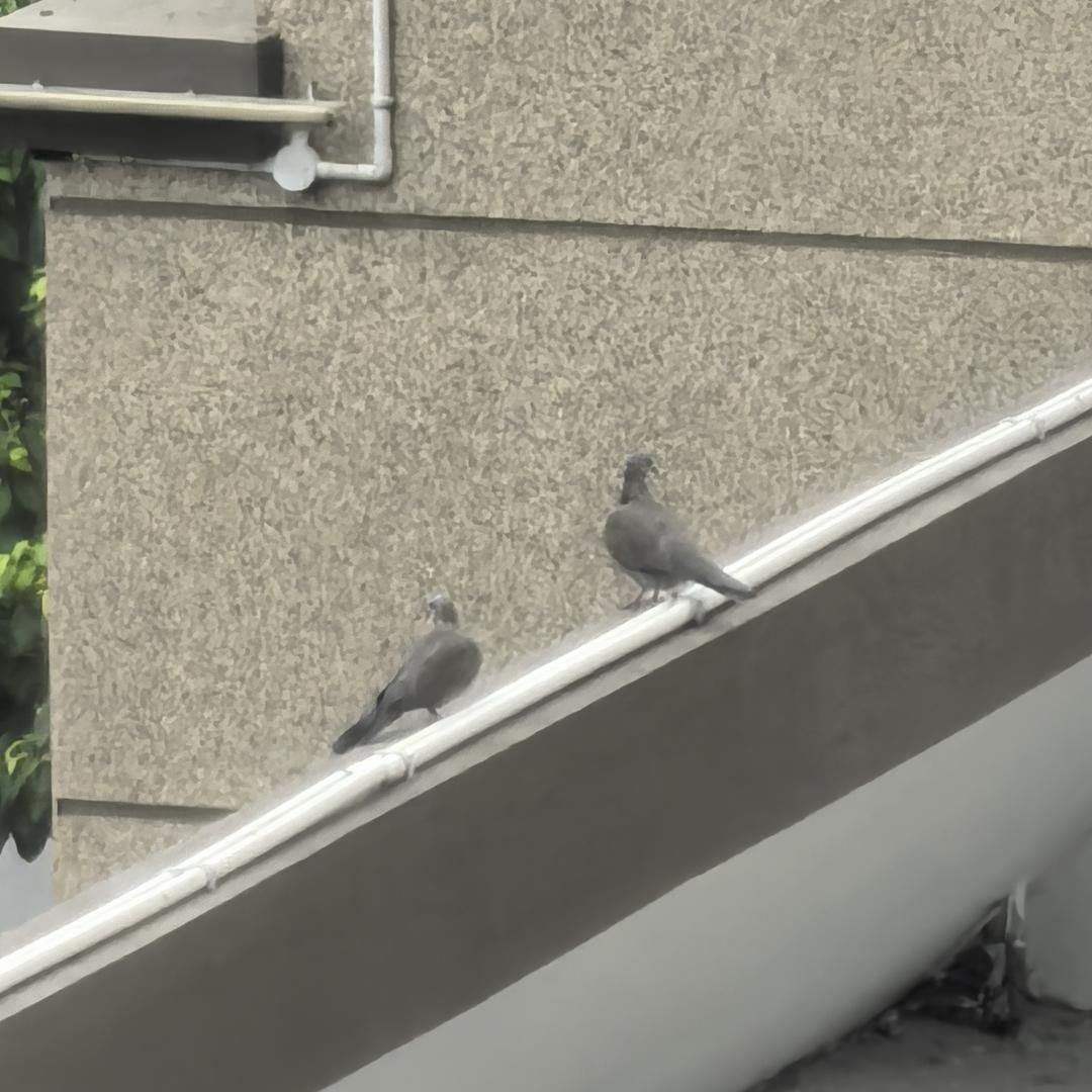 张家界佐帝门窗