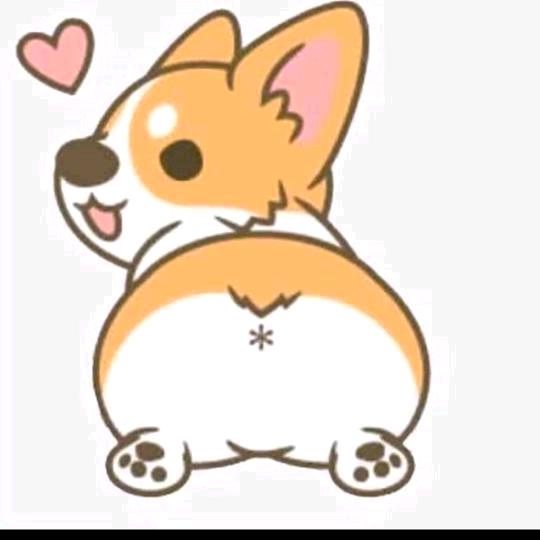 悠哈悠哈🌸🌈