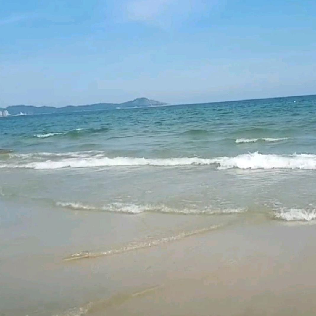 黎尚往来