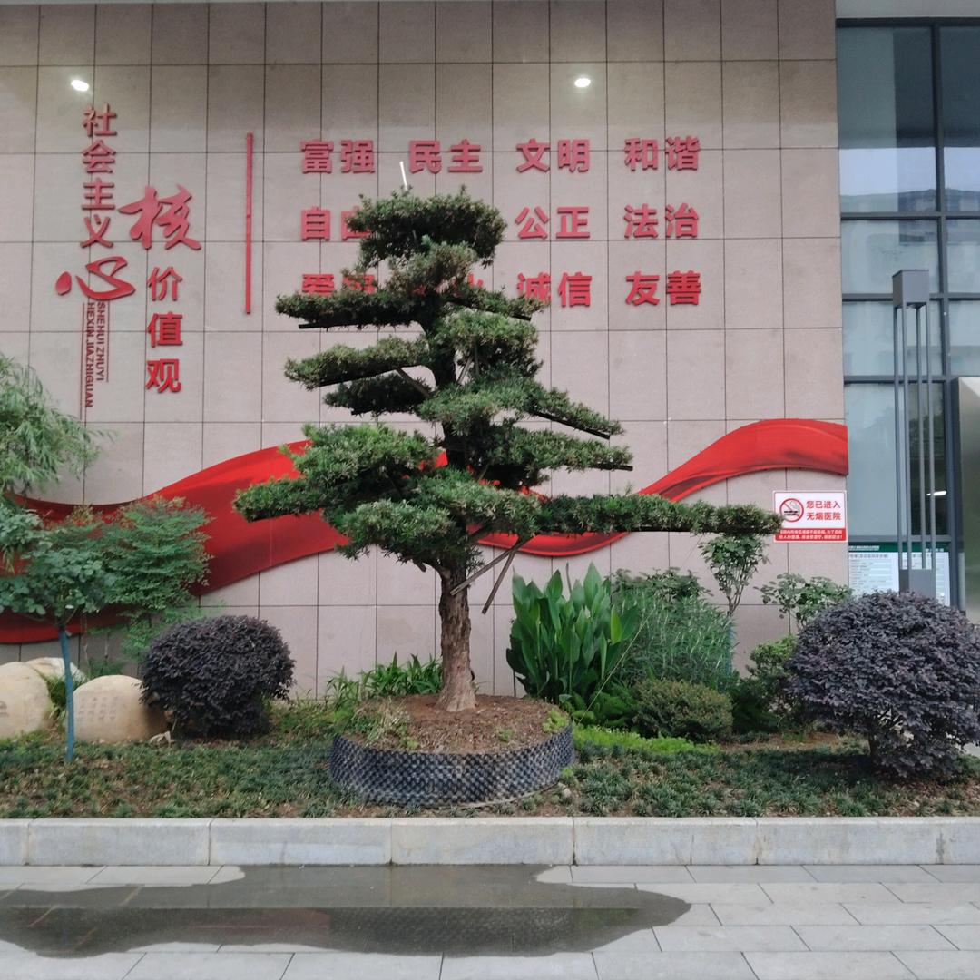 寒江孤影