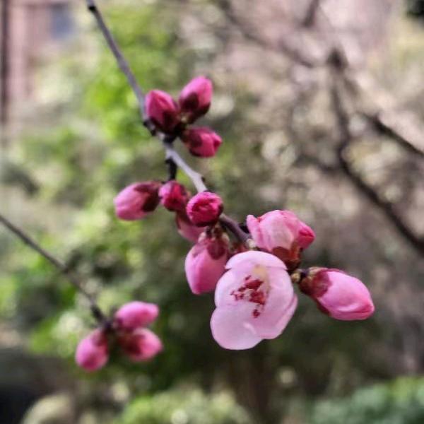 @@挺好的（71.5.20）