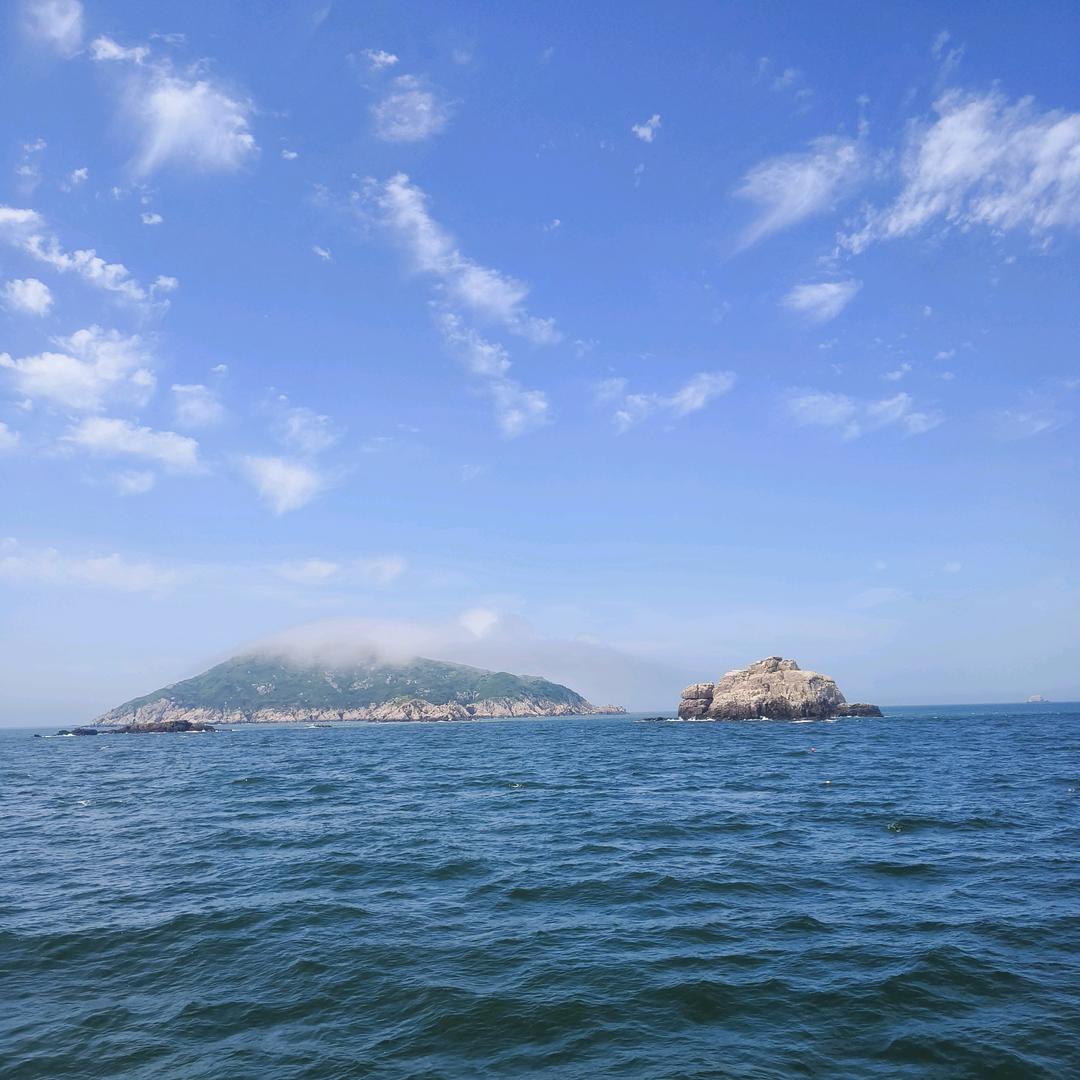 花花ꉂꉂ(ᵔᗜᵔ*)