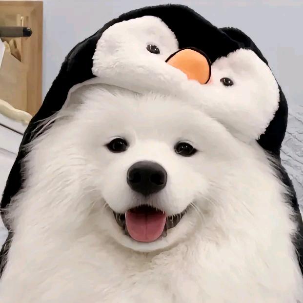 可乐🥤