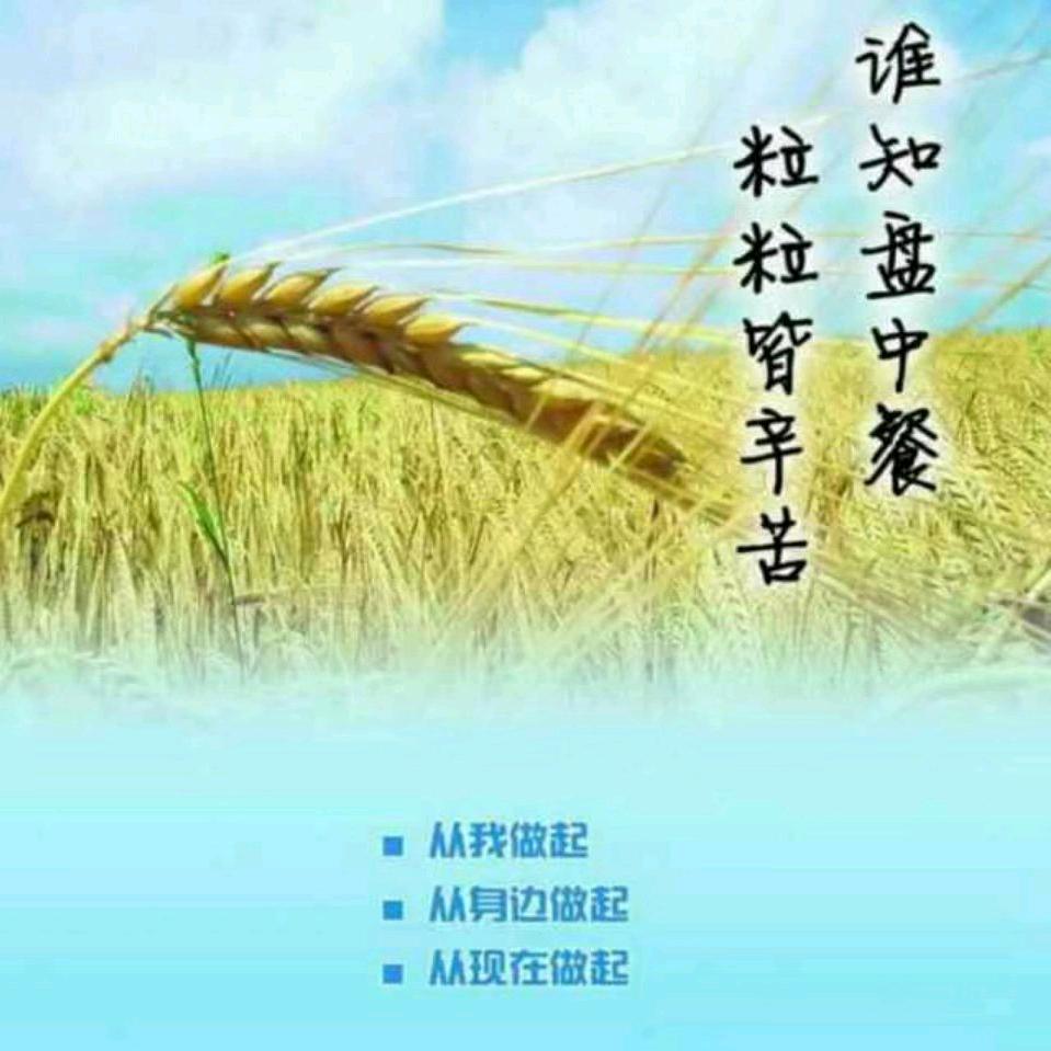 风调雨顺🇨🇳说稻做到🌾