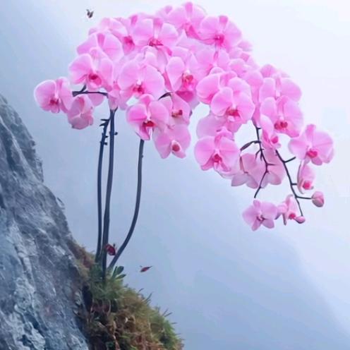 爱要有你才幸福