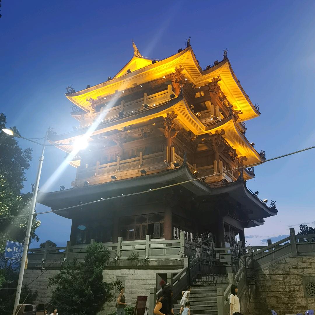 酒酒