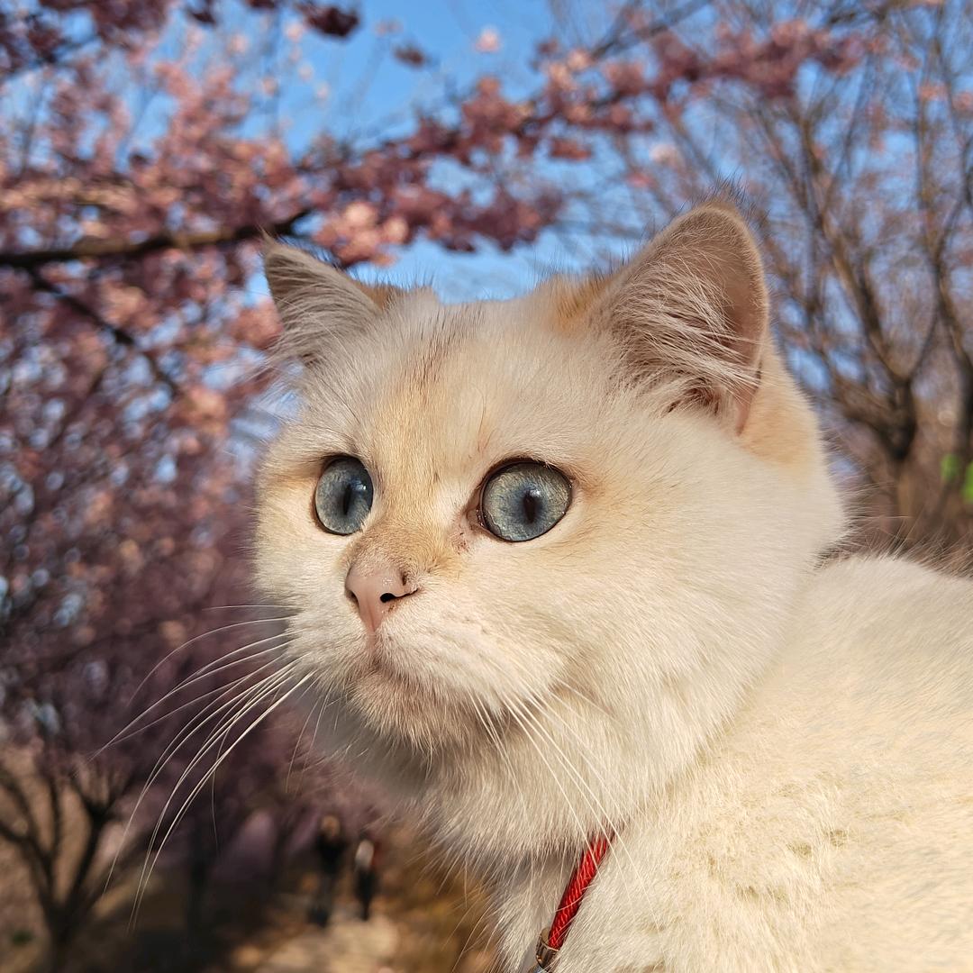 朵朵理发店