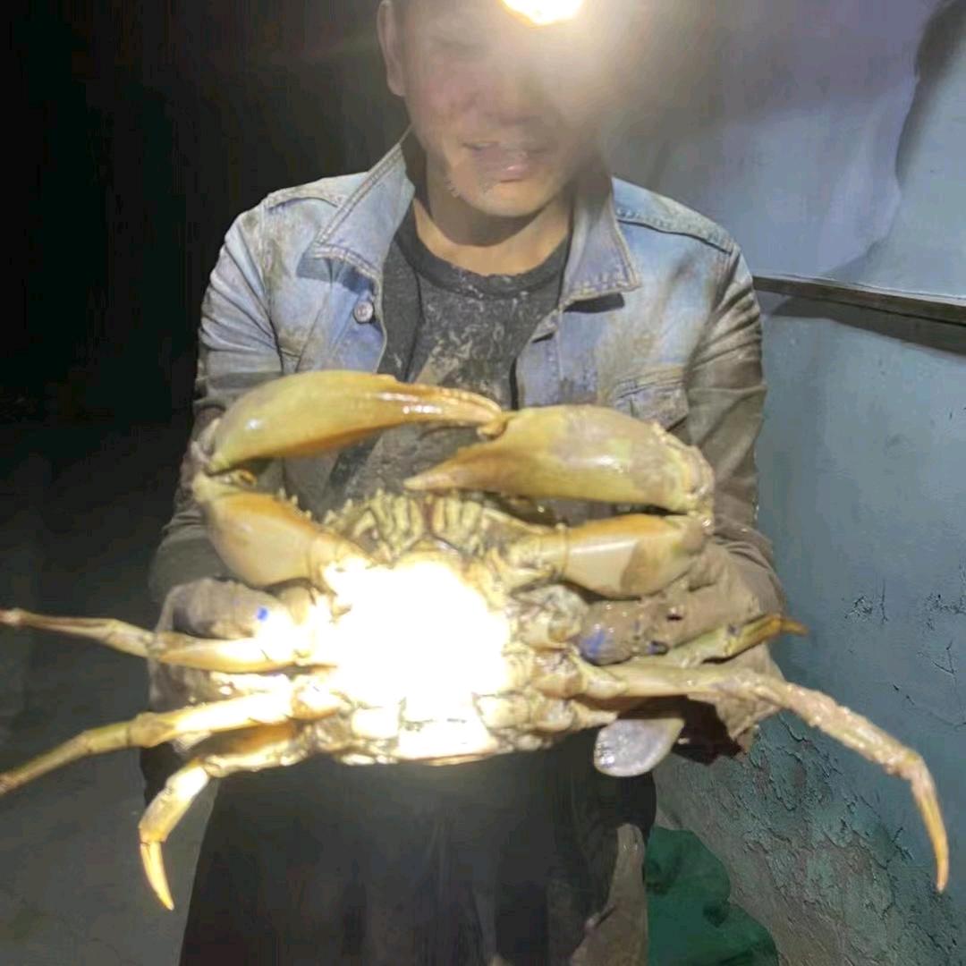 乱讲三千赶海