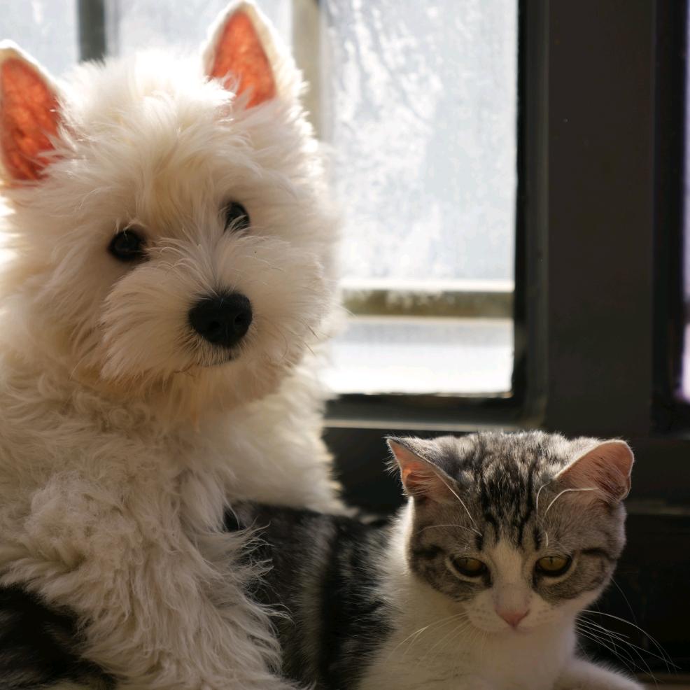 姜小白大闹姜小玖