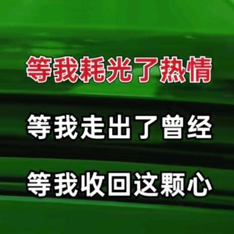 傲雪寒梅