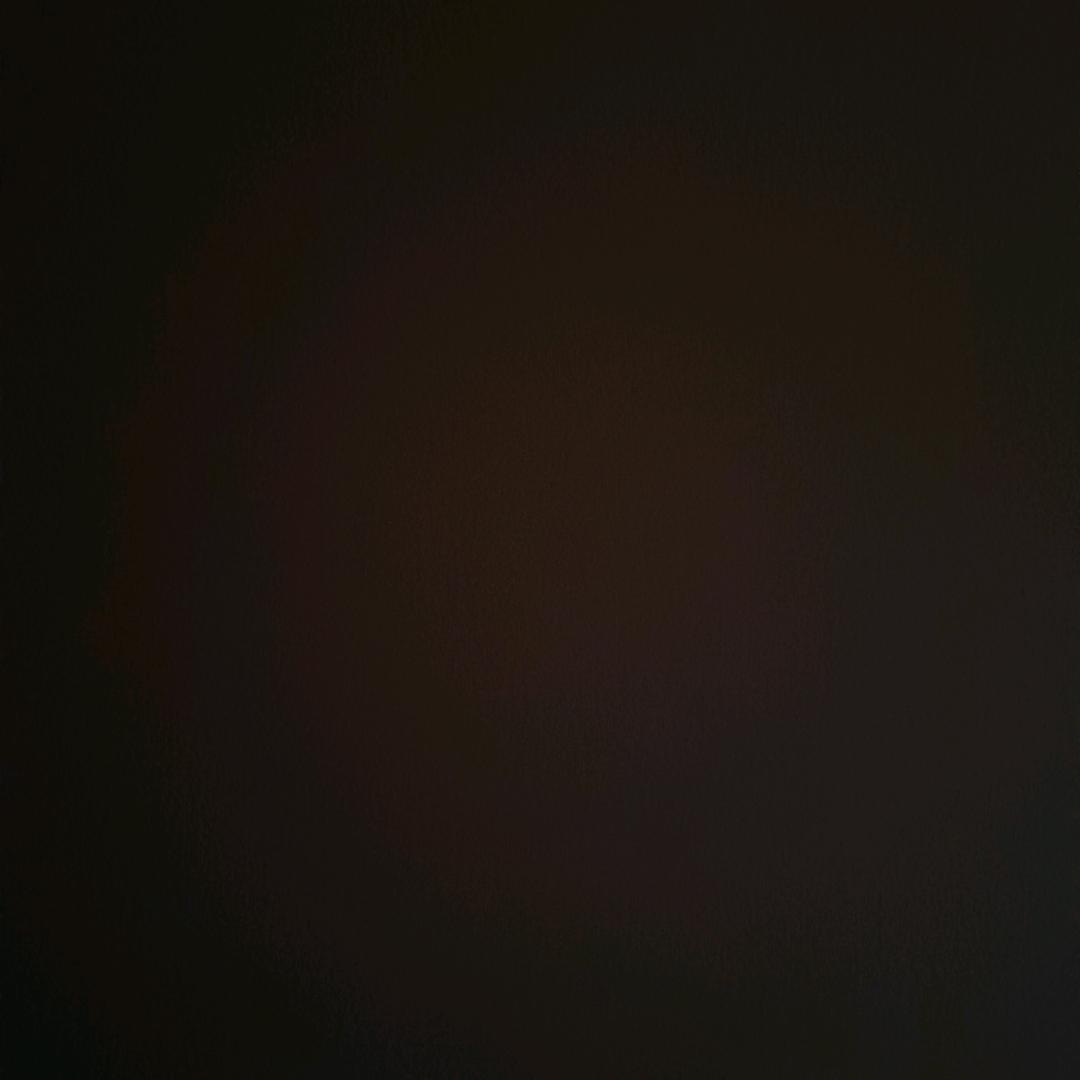 苏菜大王
