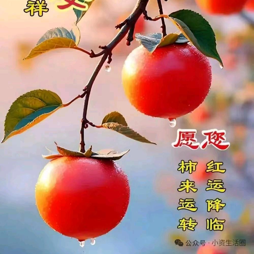 啊…雨