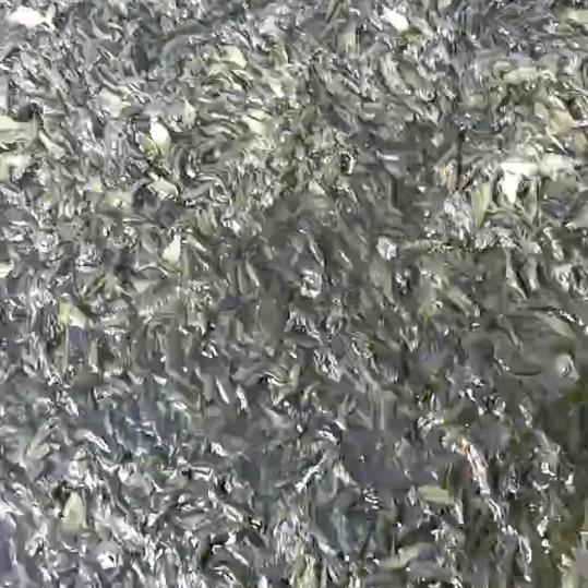 枣林