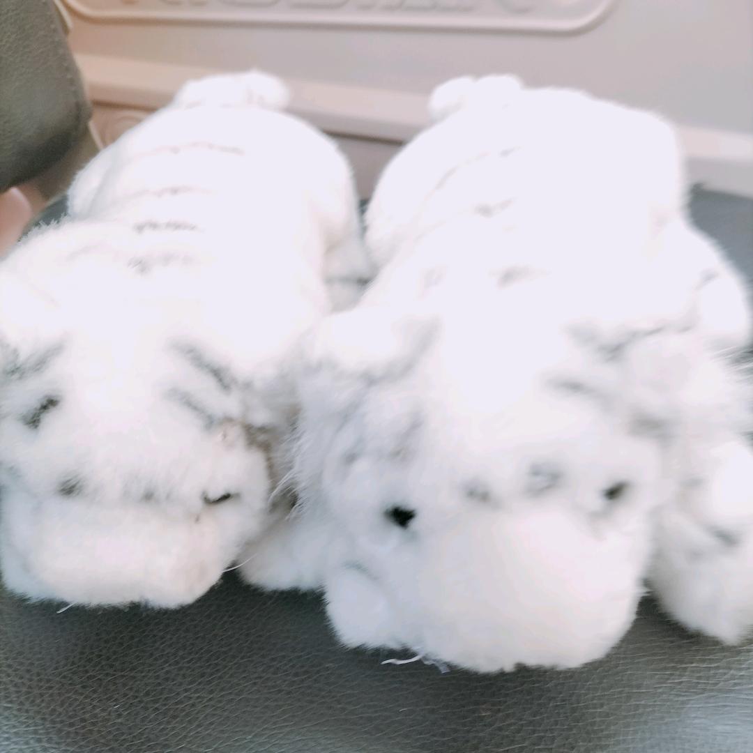 逍遥点