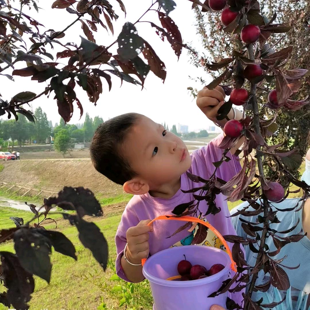 子硕（王者荣耀）