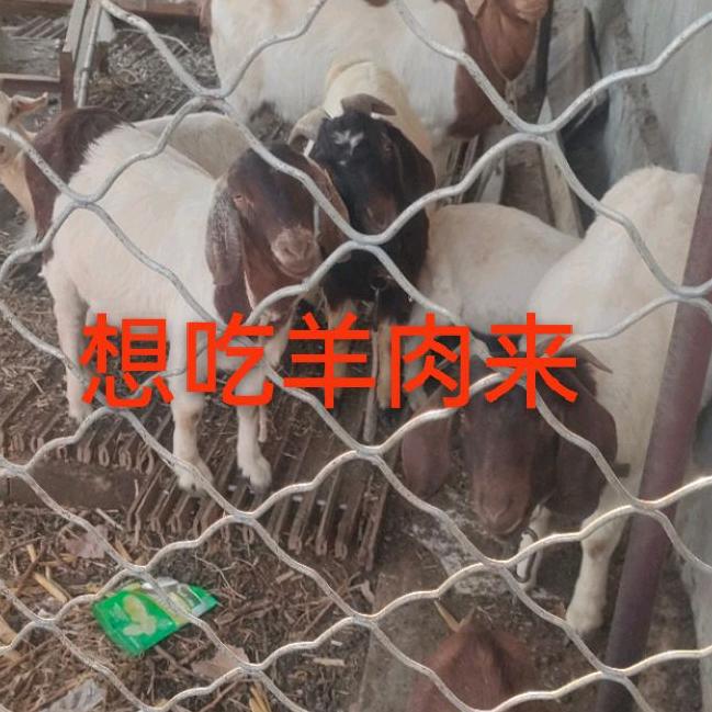 尤塘思思牛羊肉