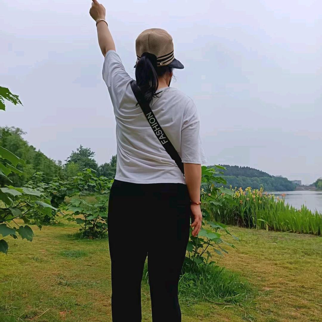 紫罗兰