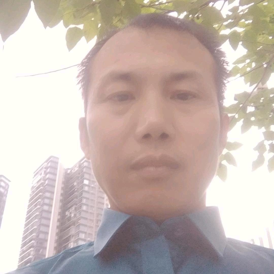 随风而逝