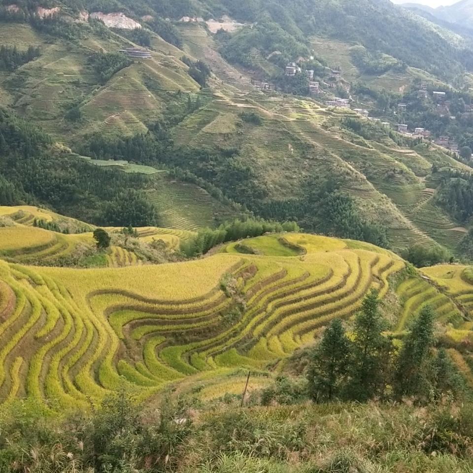 小江