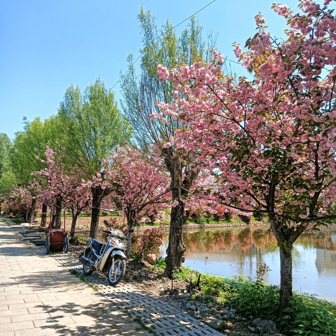 木子每好