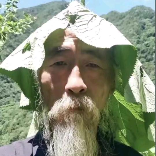 厚礼蟹