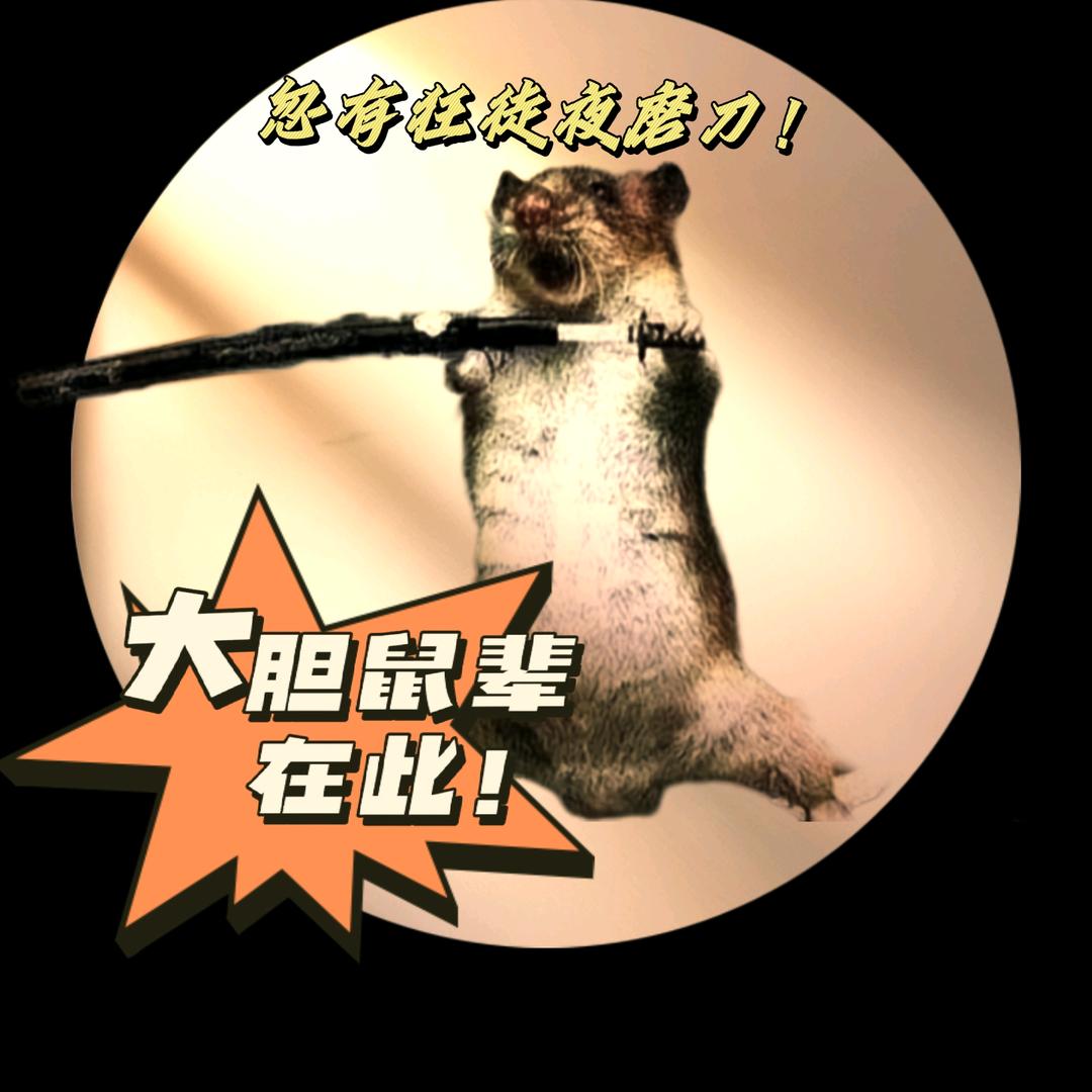 大胆鼠辈