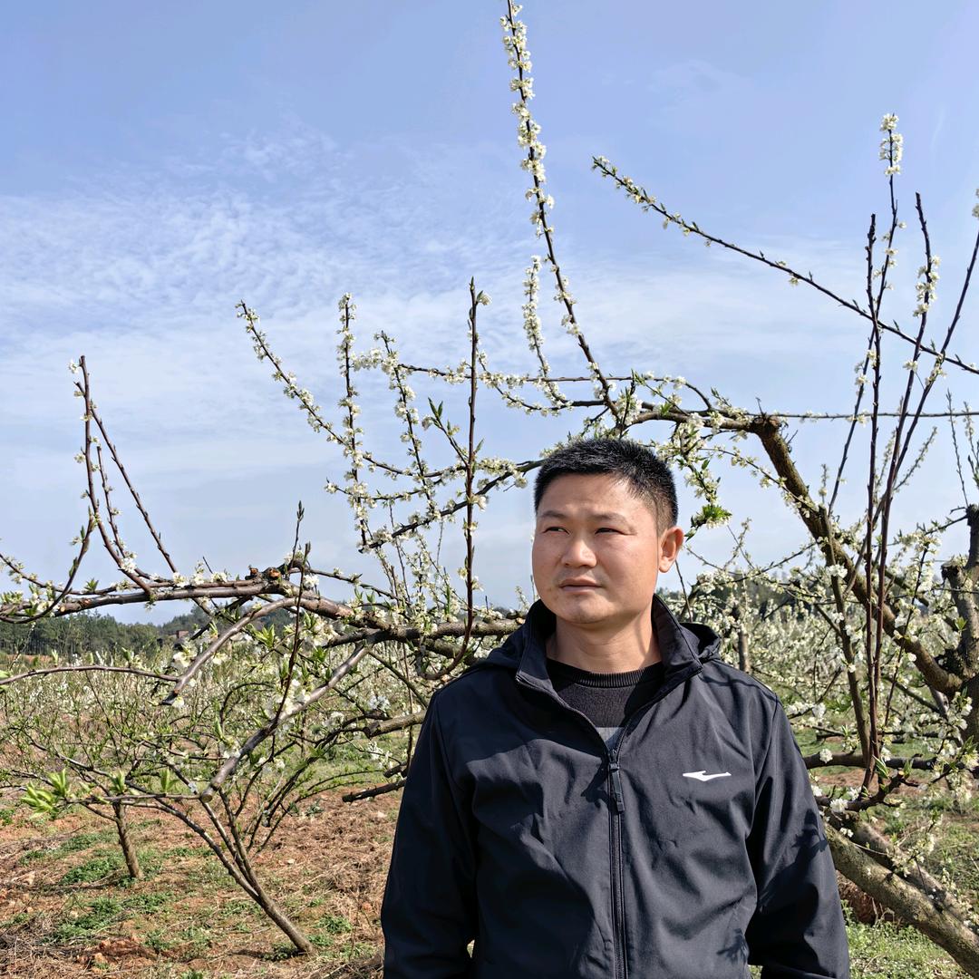 扬全农场