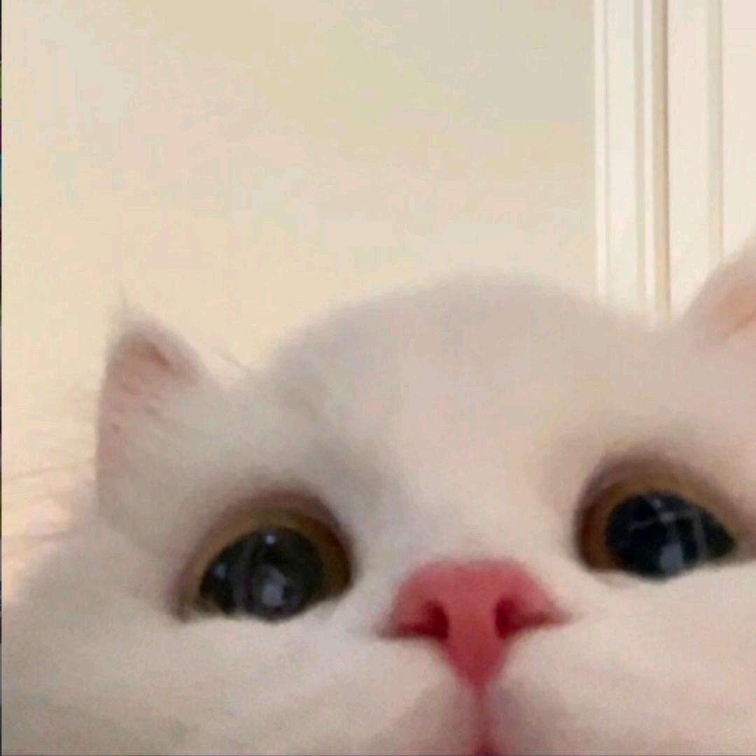 hsfhjjjndd