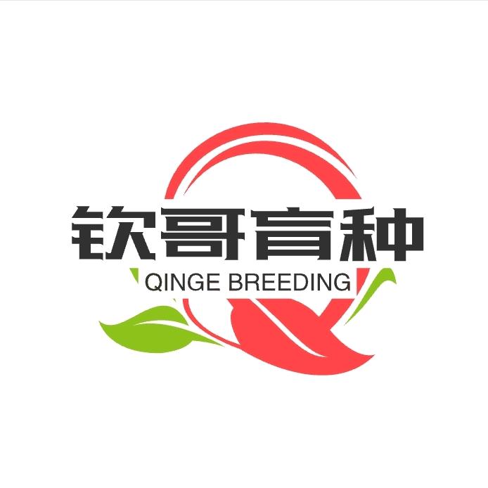 野兔塑造（钦哥）