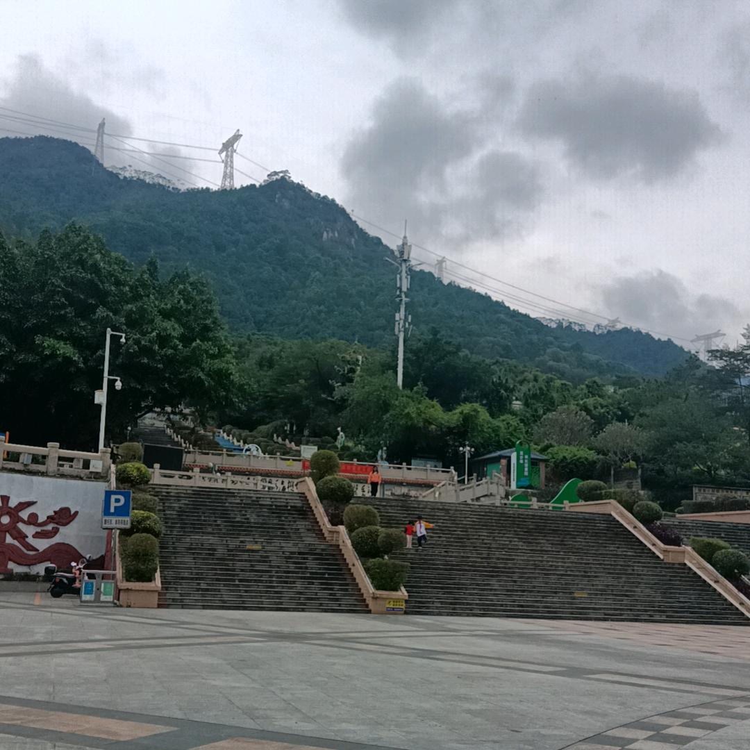 爱吃韭菜炒蛋🥦