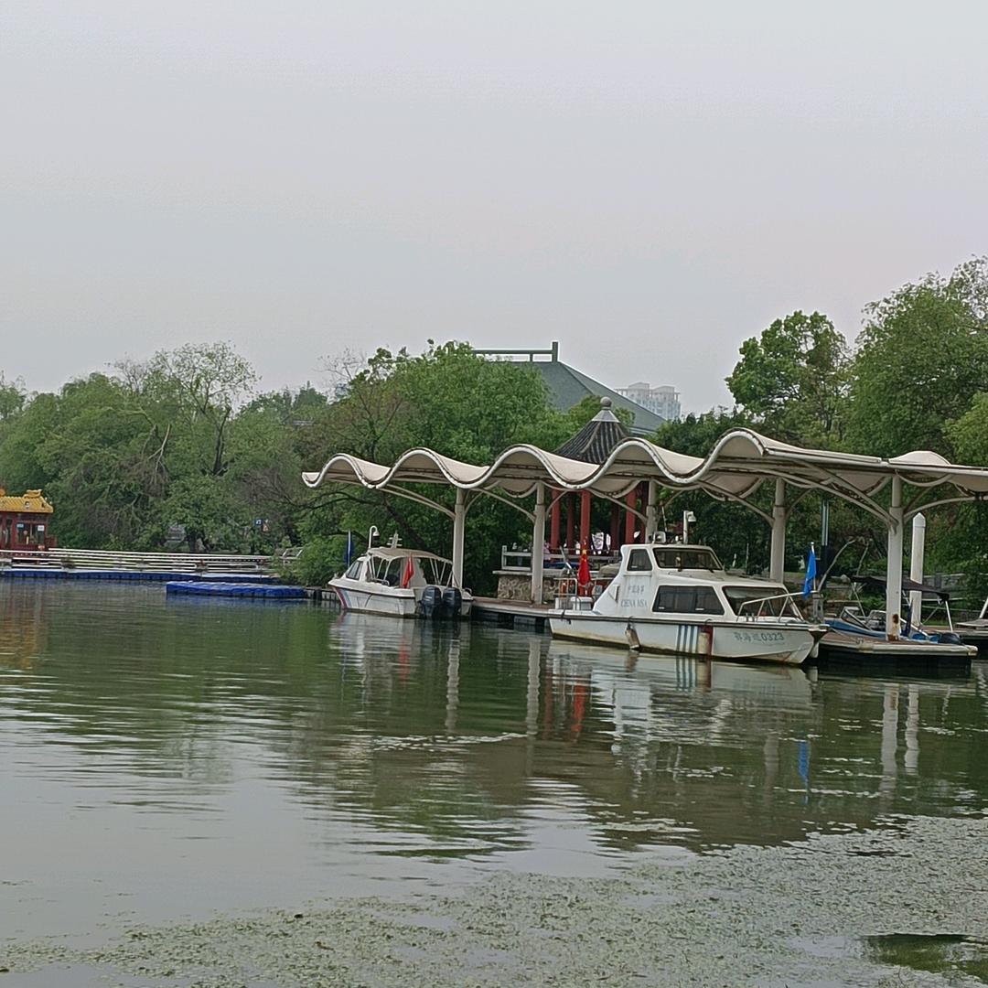 丽丽