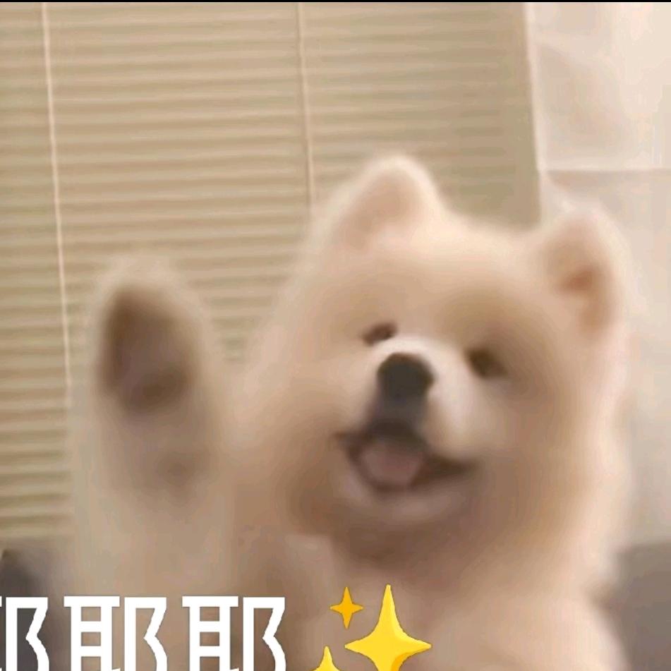 清蒸排骨