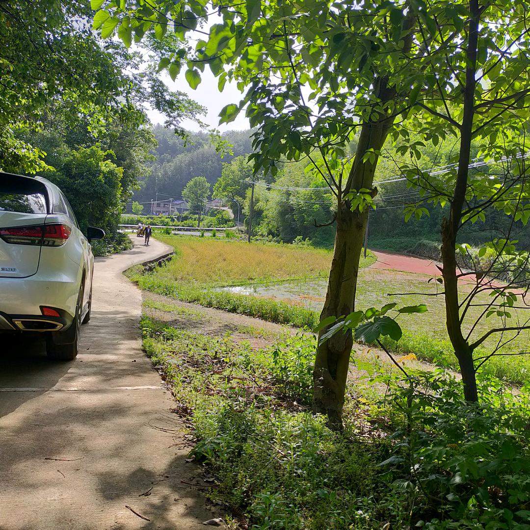 沈三万     白金路18号